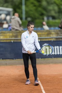 Bild 143 - BL DTV Hannover - BW Dresden Blasewitz : Ergebnis: 2:7